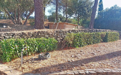 Le Belvédère D'Estelle: Strauch, Pflanzengemeinschaft, Garten, Ground, Gehölz, Steinwand, Boden, Hecke, Landscaping