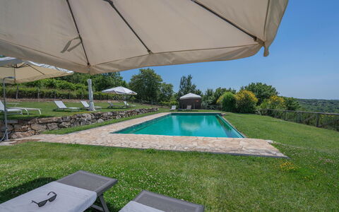 Chiara House In Galenda, Chianti, Pool And Nature: Eigentum, Pflanze, Wasser, Gebäude, Schatten, Gartenmöbel, Schwimmbad, Regenschirm, Himmel, Rechteck