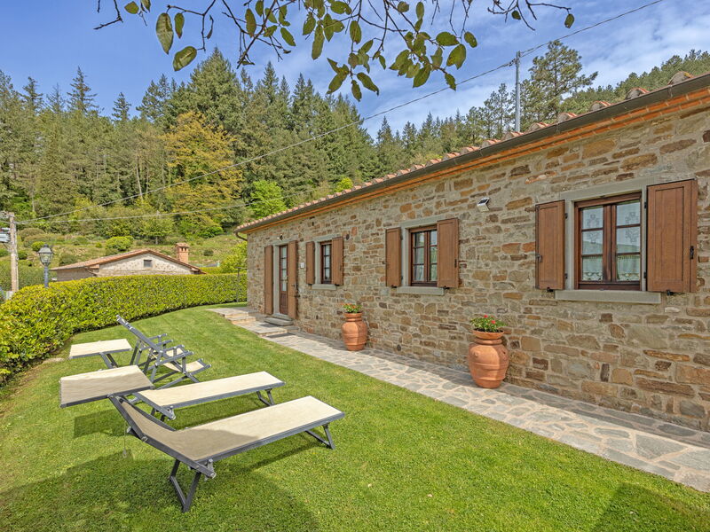 Outdoor view