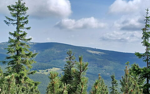 Svoboda Na Upou 40: Bergforms, Baum, Natürlichen Umgebung, Berg, Wildnis, Hochland, Hügel, Wolke, Wald