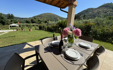 Casa Viviani: Pflanze, Tabelle, Geschirr, Möbel, Himmel, Eigentum, Blume, Blumentopf, Stuhl, Interior Design