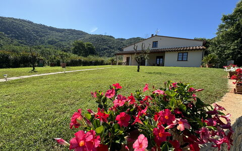 Casa Viviani: Blume, Himmel, Pflanze, Eigentum, Natur, Fenster, Natürliche Landschaft, Baum, Blütenblatt, Vegetation