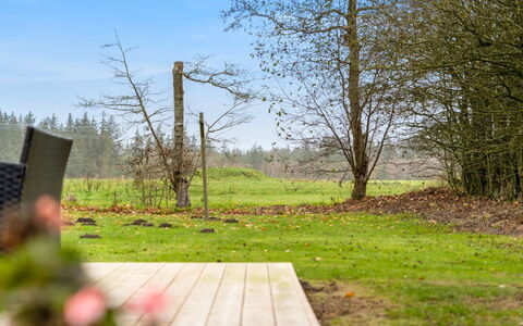 Thorgot - 3Km from the Sea: Grün, Gras, Baum, Natur, Blatt, Ast, Natürliche Landschaft, Vegetation, Strauch, Landschaft
