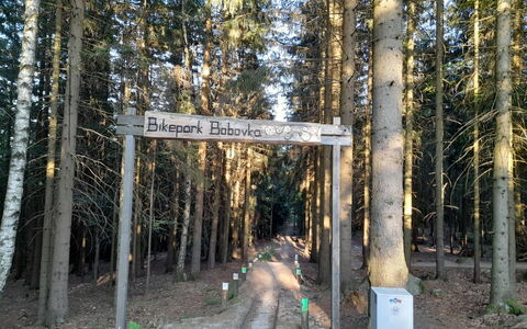 Desná V Jizerských Horách 841: Pflanze, Natürliche Landschaft, Holz, Kofferraum, Biome, Durchgangsstrasse, Baum, Terrestrische Plant, Landschaft, Laub