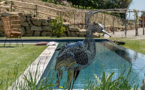 Villa Paradise: Wasser, Pflanze, Baum, Bank, Gras