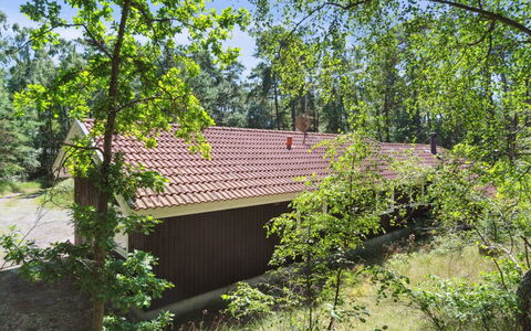 Nea - 600M from the Sea: Baum, Blatt, Gras, Holz, Vegetation, Strauch, Ländliches Gebiet, Pflanzengemeinschaft, Grundstueck