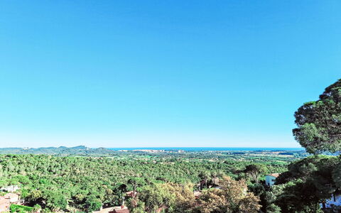 Panoramic: Himmel, Pflanzengemeinschaft, Pflanze, Küsten Und Ozeanische Forms, Natürliche Landschaft, Baum, Horizont, Gras, Arecales, Landschaft