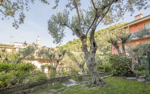 Pieve Ligure Seaside View, Wifi: Blatt, Ast, Vegetation, Strauch, Frühling, Zweig, Garten, Estate, Garten, Landscaping