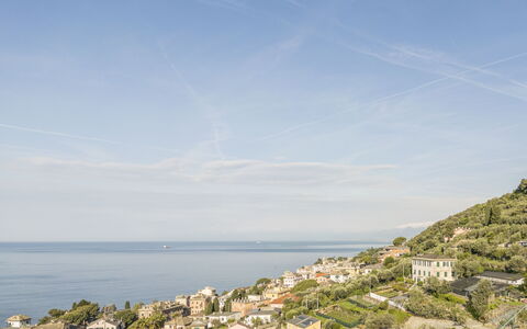 Pieve Ligure Seaside View, Wifi: Blau, Wasser, Gebäude, Wohngebiet, Horizont, Küste, Meer, Sommer, Küsten Und Ozeanische Forms, Haus