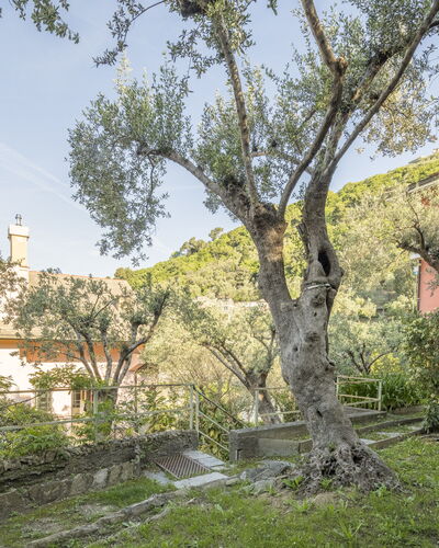 Pieve Ligure Seaside View, Wifi