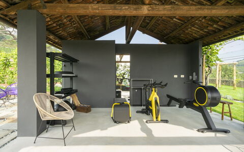B&b Vigne Di Fagnano Without Kitchen: Pflanze, Schatten, Interior Design, Holz, Fussboden, Freizeit, Flooring, Stuhl, Baum, Strahl