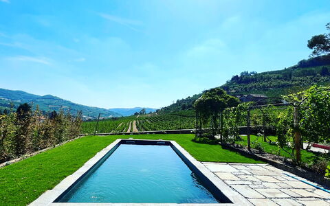 B&b Vigne Di Fagnano Without Kitchen: Wasser, Himmel, Pflanze, Azurblau, Natürliche Landschaft, Schwimmbad, Baum, Rechteck, Gewässer, Wolke