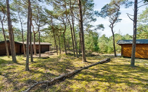 Sonya - 350M from the Sea: Baum, Holz, Grundstueck, Ländliches Gebiet, Hütte, Wald, Wald, Kofferraum, Gartenbauten, Schuppen