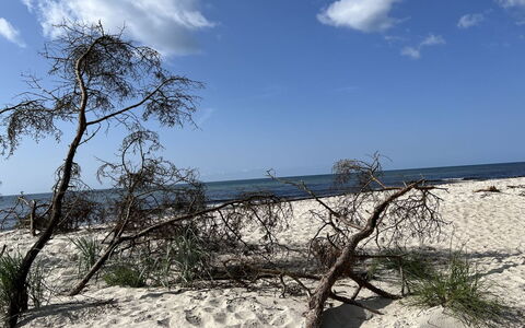 Sonya - 350M from the Sea: Blau, Natürlichen Umgebung, Strand, Sand, Küste, Ufer, Küsten Und Ozeanische Forms, Meer, Ozean, Tropen