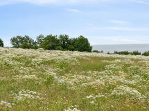 Ejna - 400M from the Sea