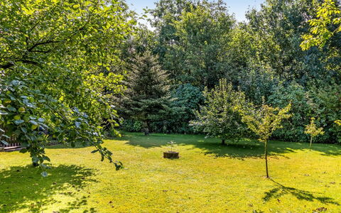 Berner - 30Km from the Sea: Grün, Blatt, Gelb, Natur, Gras, Baum, Natürlichen Umgebung, Ast, Vegetation, Strauch