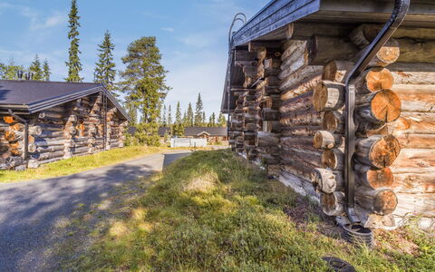 Kelokanerva: Holz, Dach, Hütte, Blockhaus, Lärche, Abstellgleis, Holz, Hütte, Gartenbauten