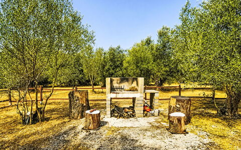 Grotta Porcina: Racquet Sport, Wald, Park, Netz, Hain