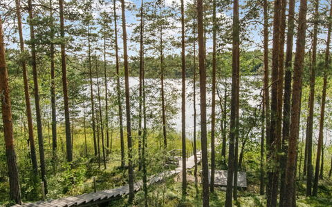 Karhupirtti: Blatt, Baum, Natürlichen Umgebung, Grün, Holz, Vegetation, Wald, Hain, Pflanzengemeinschaft