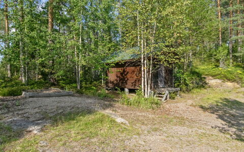 Karhupirtti: Baum, Natürlichen Umgebung, Blatt, Holz, Pflanzengemeinschaft, Wald, Wald, Kofferraum, Hain