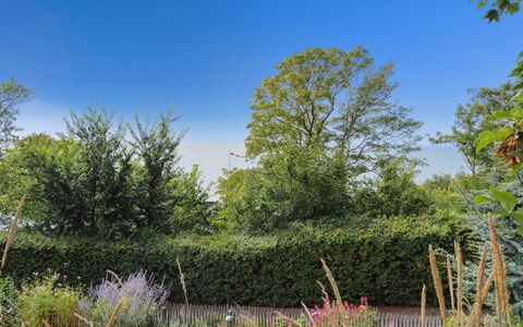 Yari - 50M from the Sea: Grün, Blatt, Vegetation, Strauch, Pflanzengemeinschaft, Grundstueck, Garten, Hecke, Ground