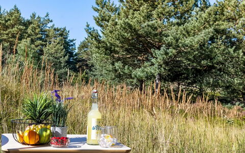 Dagny - 520M from the Sea: Rot, Geschirr, Servierware, Drinkware, Dishware, Essen