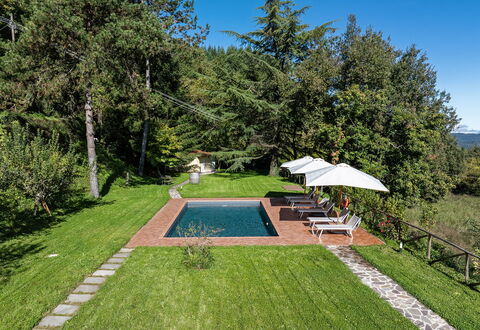 Villa Chicco: Pflanze, Himmel, Regenschirm, Botanik, Baum, Schatten, Grundstueck, Gras, Schwimmbad, Freizeit