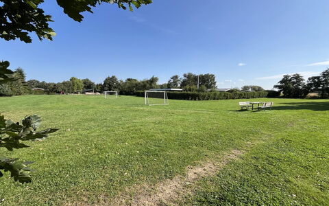 Christian - 600M from the Sea: Himmel, Blau, Daytime, Baum, Gras, Wiese, Einfach, Strauch, Grundstueck, Rasen