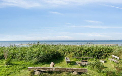 Nilson - 50M from the Sea: Gras, Holz, Ländliches Gebiet, Strauch, Hütte, Dach, Einfach, Grundstueck, Zuhause, Ground