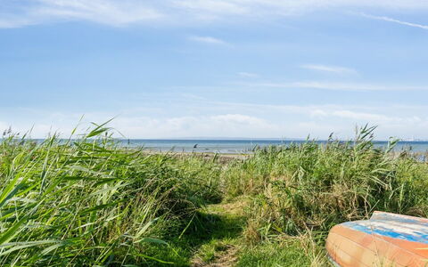 Nilson - 50M from the Sea: Gras, Holz, Ländliches Gebiet, Strauch, Hütte, Dach, Einfach, Grundstueck, Zuhause, Ground