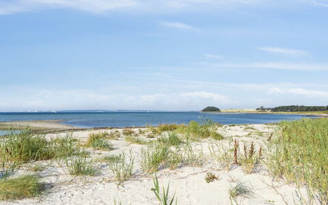 Nilson - 50M from the Sea: Gras, Holz, Ländliches Gebiet, Strauch, Hütte, Dach, Einfach, Grundstueck, Zuhause, Ground