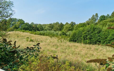 Waldemar - 8Km from the Sea: Holz, Dach, Die Architektur, Zuhause, Haus, Hütte, Abstellgleis, Hartholz, Steigung, Estate