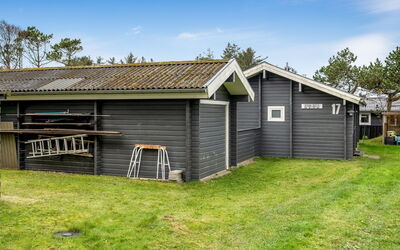 Tammo - 1.1Km from the Sea