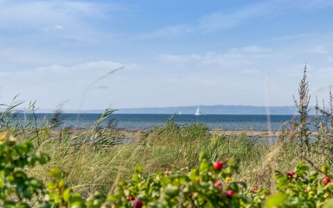 Joella - 75M from the Sea: Dach, Haus, Zuhause, Hütte, Abstellgleis, Estate, Auffahrt, Gartenbauten, Garten, Schuppen