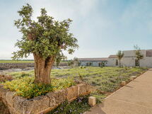 Unterkunft:&nbsp;Camera 4 - Matrimoniale Con Vista Giardino - Masse