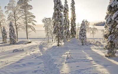 Villa Q - Kuusamo, Nordösterbotten, Finnland