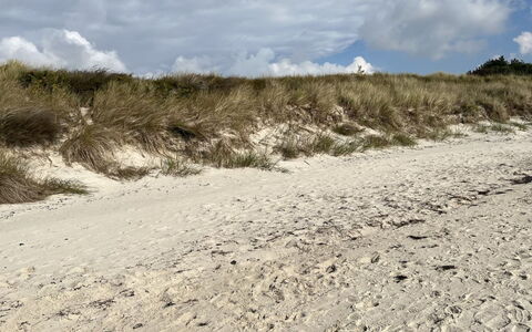 Vamika - 300M from the Sea: Natürlichen Umgebung, Ökoregion, Wolke, Sand, Boden, Strand, Shrubland, Kumulus