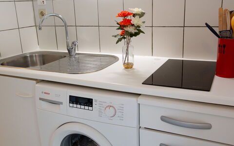 Port Saint-Jacques: Blume, Zapfhahn, Pflanze, Eigentum, Wäschekammer, Waschmaschine, Cabinetry, Weiss, Sinken, Produkt