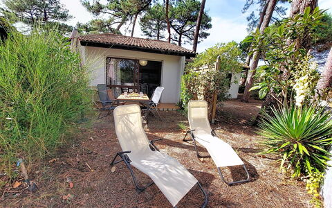 Mimizan 406: Strauch, Gartenmöbel, Schatten, Garten, Stuhl, Landscaping, Garten, Hinterhof, Sonnenliege, Regenschirm
