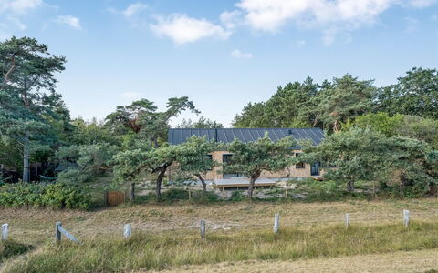 Kaila - 50M from the Sea: Baum, Strauch, Grundstueck, Pflanzengemeinschaft, Zuhause, Ländliches Gebiet, Hütte, Garten, Bauernhaus