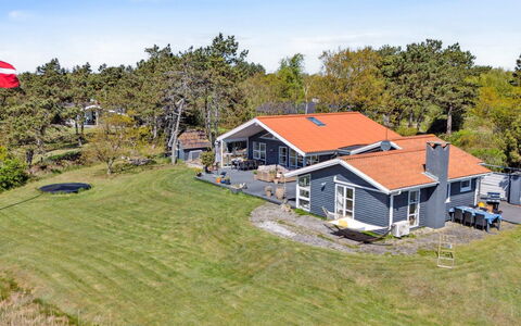 Hening - 50M from the Sea: Gras, Holz, Ländliches Gebiet, Strauch, Hütte, Dach, Einfach, Grundstueck, Zuhause, Ground