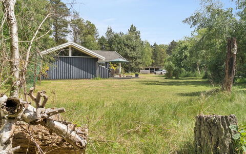 Tyyne - 250M from the Sea: Gras, Baum, Haus, Hütte, Strauch, Zuhause, Grundstueck, Ländliches Gebiet, Landschaft