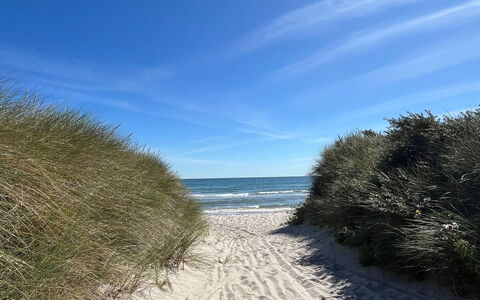 Frido - 500M from the Sea: Blau, Natürlichen Umgebung, Strand, Küste, Horizont, Meer, Küsten Und Ozeanische Forms, Ufer, Ozean
