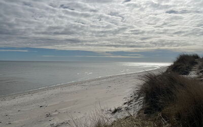 Frido - 500M from the Sea