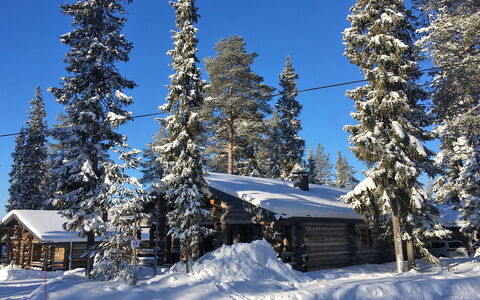Kuusi-Ruka 6: Schnee, Baum, Winter, Ast, Holz, Hütte, Landschaft, Einfrieren, Lärche
