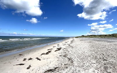 Galathea - 175M from the Sea