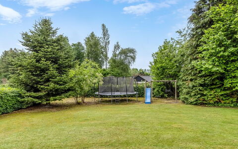 Diuri - 30Km from the Sea: Baum, Strauch, Grundstueck, Garten, Schatten, Rasen, Park, Landscaping, Immergrün, Garten