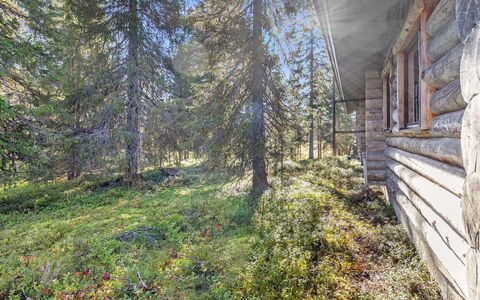 Karhunkelo: Holz, Pflanzengemeinschaft, Wald, Hütte, Wald, Blockhaus, Lärche, Hütte, Tropische Und Subtropische Koniferenwald