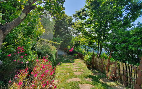 La Casa Sul Forte: Blume, Grün, Natur, Vegetation, Strauch, Garten, Frühling, Blütenblatt, Botanischer Garten