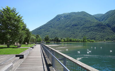 Marino